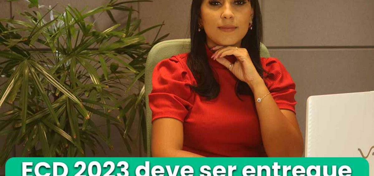 ECD 2023 deve ser entregue até o fim de maio