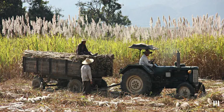 Três trabalhadores rurais em uma área rural: um está dentro do trator, outro em cima da carroceria e a terceira está em pé. Imagens ilustra o novo Cadastro de Empregadores