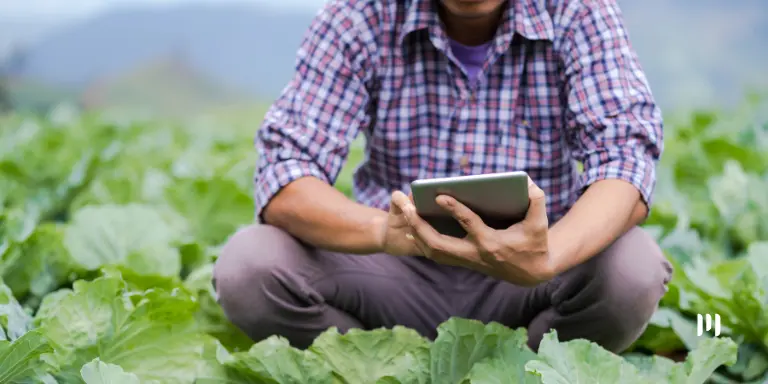 Produtor rural utiliza um tablet em uma plantação para acessar a versão web da DITR 2026.